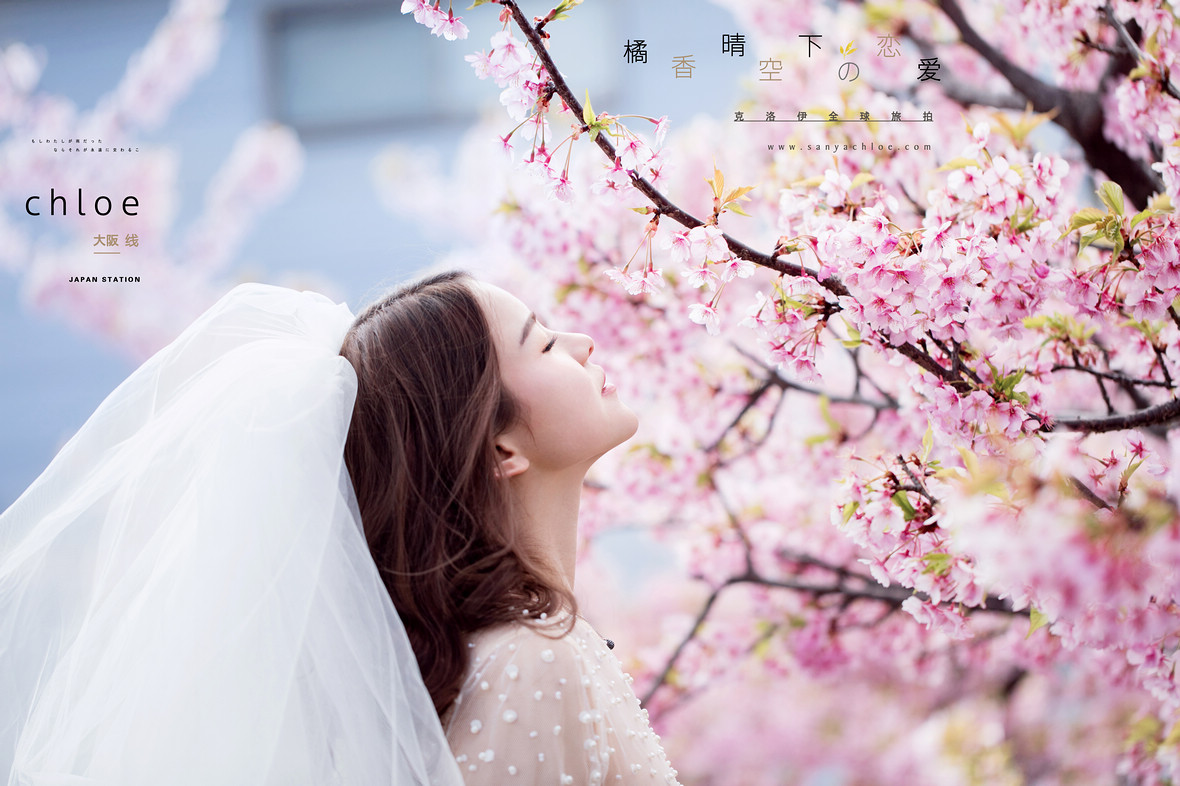 霓虹國的春，可以這么拍婚紗照